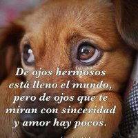 Lorenz AB ⭐❤✨ (@mar7685) 's Twitter Profile