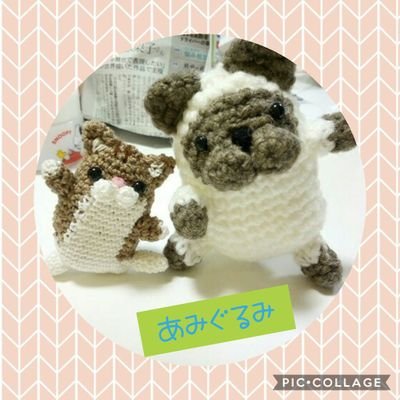 chicyaiame's profile picture. 動物とハンドメイド、ひとりの時間が好きです^^
いごごちの良い世の中🙏👼✨