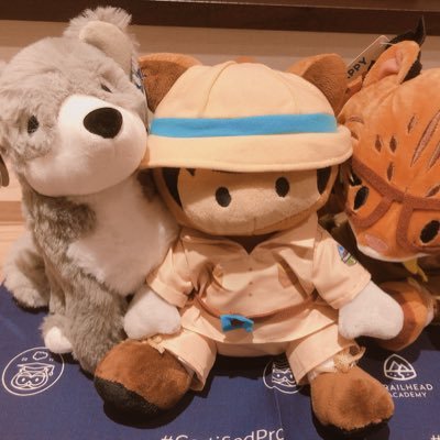 trailheader3's profile picture. salesforce お勉強中 6x Salesforce certified