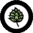 lewybrewing's profile image