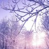KAZU46464646's profile picture. BO・FX 初心者です
これから勉強して勝てるようになりたいです！