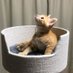 Samson (@walter85211965) Twitter profile photo Samson (@walter85211965) Twitter profile photo