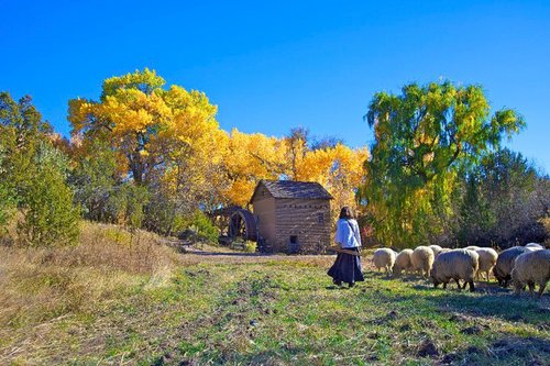 El Rancho de las Golondrinas is a 250 acre living history museum in Santa Fe, New Mexico focusing on the Spanish Colonial Era. Follow us!