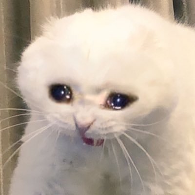 orhidrobium1901's profile picture. Hatred & disappointment