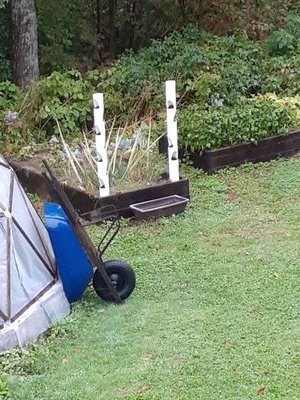 dhogenbom's profile picture. 