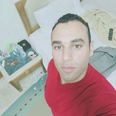 MahmoudNsier's profile picture. Auditor