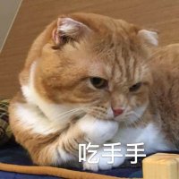 随便七七 (@ahiwbnsk) 's Twitter Profile Photo 随便七七 (@ahiwbnsk) 's Twitter Profile Photo