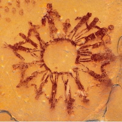 ldavenport1065's profile picture. 