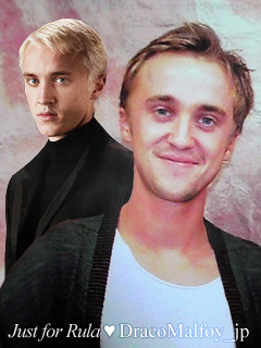 All for Tom Felton