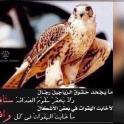 عتيبي وحب ربعي العتبان