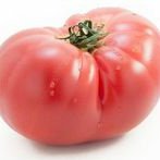 Pomagam rozróżnić rodzaj pomidora 🍅🍅🍅