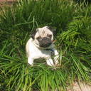 John Izzo - @NRaleigh - Twitter