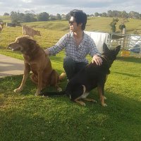 Bruce (@thebrucetran) 's Twitter Profile