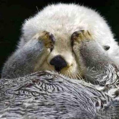 Freddy_kw's profile picture. 