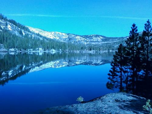 talltjbigdog's profile picture. work smart & play as much as possible