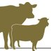cheshirefarmvets (@cheshirefarmve1) Twitter profile photo cheshirefarmvets (@cheshirefarmve1) Twitter profile photo