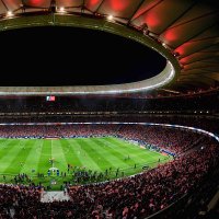 Wanda Congress (@wandacongress) 's Twitter Profile Photo