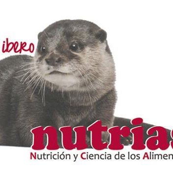 Asociación de Egresados de Nutrición y Ciencia de los Alimentos #Ibero #NutriasIbero #ASENCA #SomosIbero