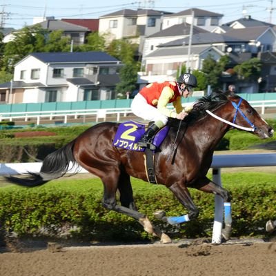 ウマ娘と競馬
友駿・広尾
FavRT過多