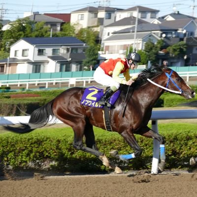 五十一さんのプロフィール画像