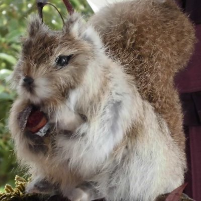 都南さんのプロフィール画像