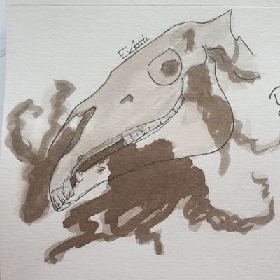 Evapitiartさんのプロフィール画像