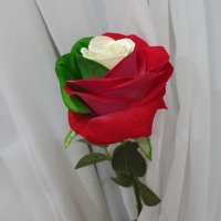 مريم المطوع (@soharom7) 's Twitter Profile