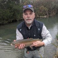 Don Harding - @DonHarding17 Twitter Profile Photo