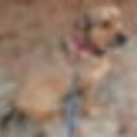 RSVP,Inc. (@rsvp_inc) 's Twitter Profile