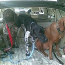 Ruth Lile - @ruthlile - Twitter