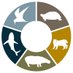 Lewison Lab (@gotwildlifesdsu) Twitter profile photo Lewison Lab (@gotwildlifesdsu) Twitter profile photo