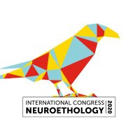 icn2020lisbon (@icn2020lisbon) 's Twitter Profile