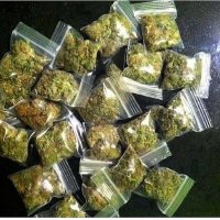 bens.weed70@gemail.com(@BWeed70) 's Twitter Profileg