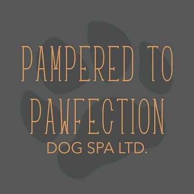 AWARD WINNING DOG GROOMING SALON |
Rated best pet groomers in Tameside since 2019 |
Certified Professional Advanced Groomer |
City & Guilds qualified