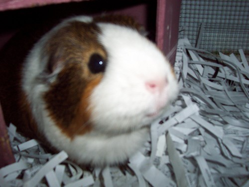 Marketing1212's profile picture. I love to give away free stuff! http://t.co/ZgKnQcXo and http://t.co/Eb7vsqMa