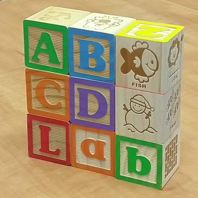 Alberta Brain and Cognitive Development Lab is a developmental cognitive neuroscience lab in the Department of Psychology at the University of Alberta.