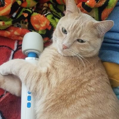 SlutasticDyke's profile picture. Can I get uhhhhh