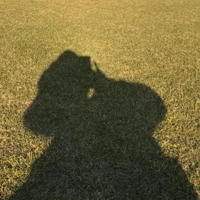 3児の母。在宅ワーカー。
少女漫画とドラクエⅣ、月刊ムー(父の)と月刊すてきな奥さん(母の)でできている。Coccoと胡桃が好き。日々精進。塞翁が馬。心はいつもマイノリティ。トキメキは先払い。