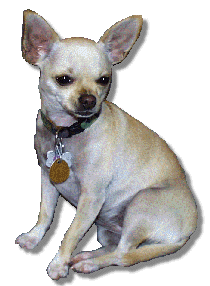 ned4me's profile picture. Follower of Jesus Christ, writer, artist, musician.