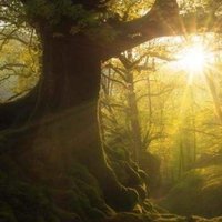 Empowerment Coaching Services (@richardfewston) 's Twitter Profile