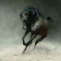AbdulnasserAli (@abdulnasserali2) Twitter profile photo