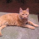 Maria Florio - @floriomarya - Twitter