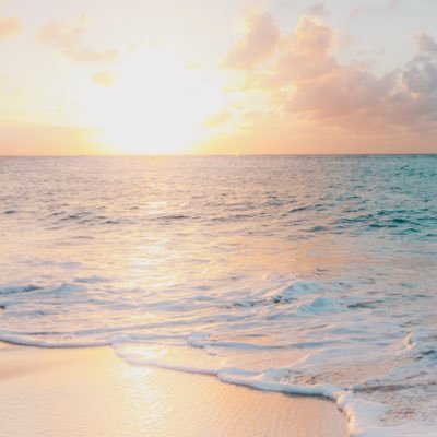 wefink's profile picture. Hold your horses