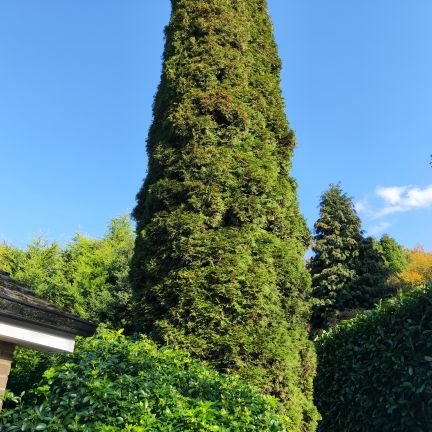 WarrenYan1's profile picture. The greatest gift of life is life itself.