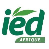 IED Afrique(@IEDAfrique) 's Twitter Profile Photo