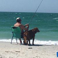Ste. DePert (@stevestpert) 's Twitter Profile