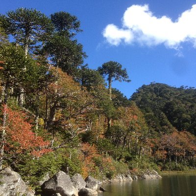 ErdmannMartin's profile picture. 