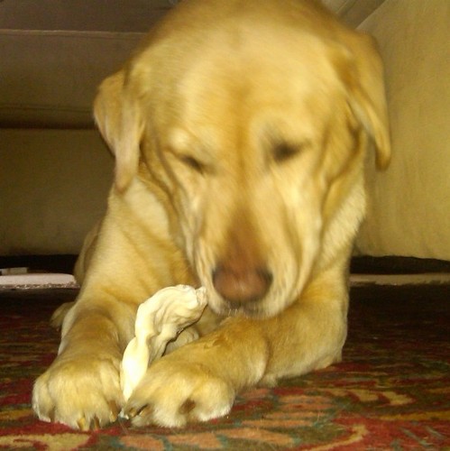 bonyboy's profile picture. Private account of @genemillerjr