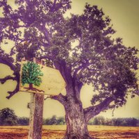 Jenny Scholfield (@jj_thescofe) 's Twitter Profile Photo