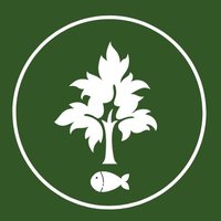 TreeFishEDU (@treefishedu) 's Twitter Profile
